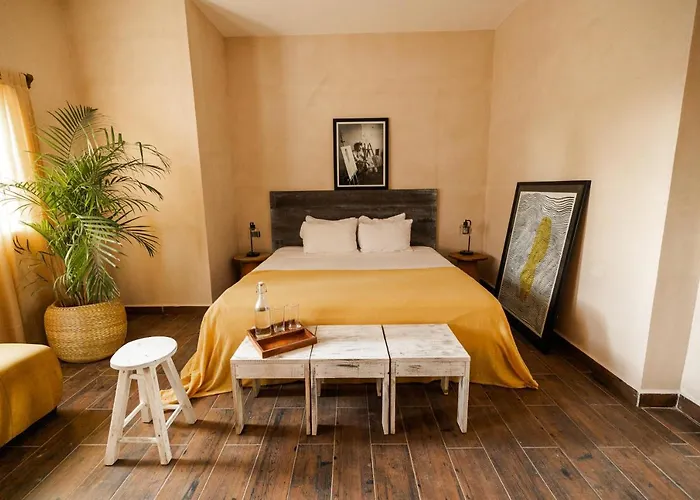 Hotel Gardenia Collective