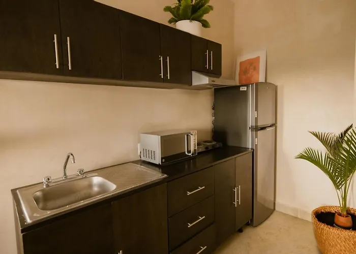Gardenia Collective Hotel 4*