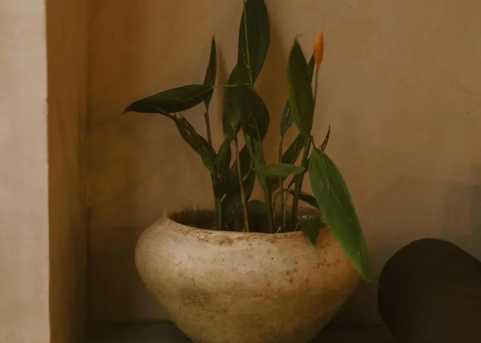 Gardenia Collective 4* Tulum
