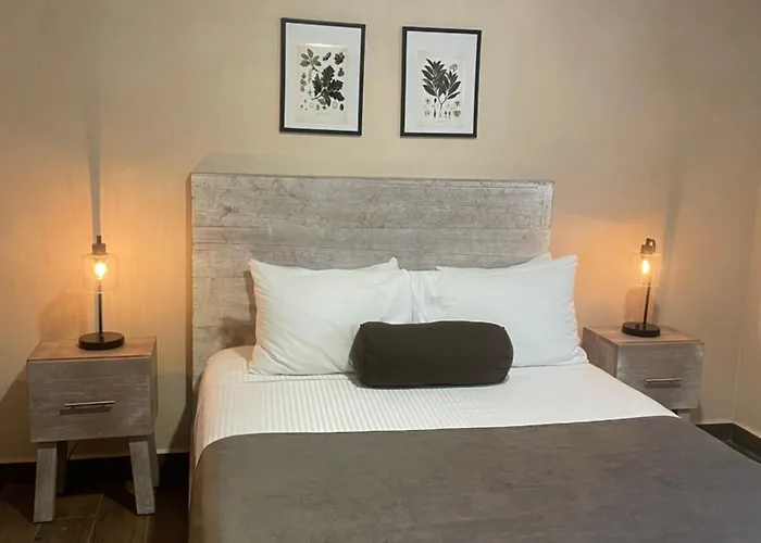 Gardenia Collective Hotel