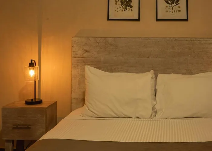 Hotel Gardenia Collective 4*