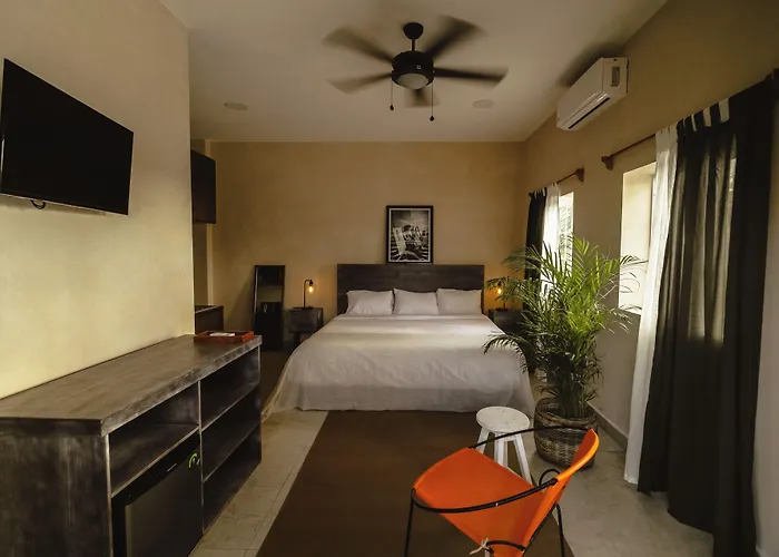 Gardenia Collective Hotel 4*