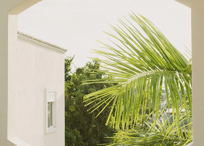 Hotel Gardenia Collective